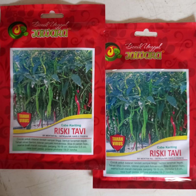 Jual Bibit Cabe Keriting Tahan Virus Riski Tavi Isi Gram Benih