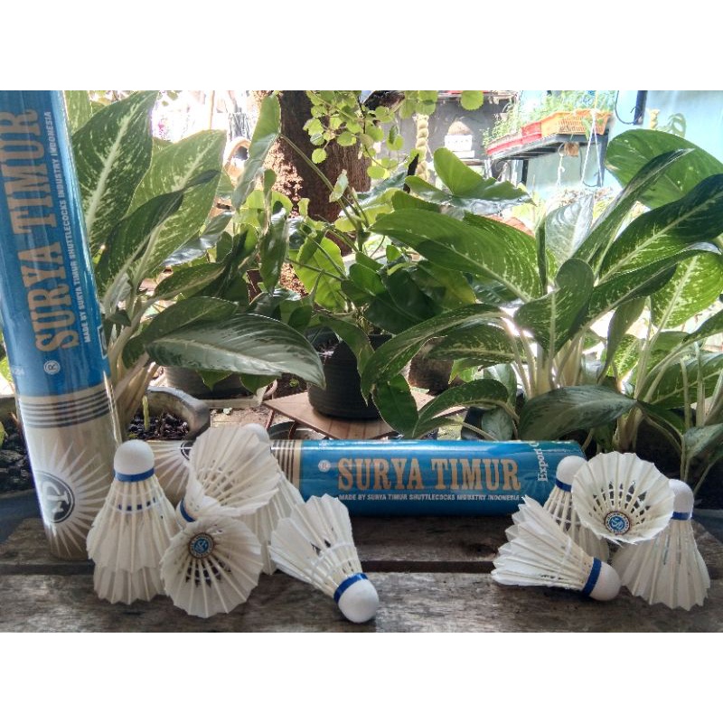 Jual Shuttlecock Cock Kock Badminton Bulutangkis Bulu Tangkis