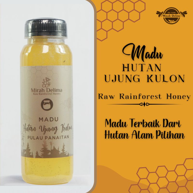 Jual Madu Hutan Madu Odeng Ujung Kulon Raw Rainforest Honey 250