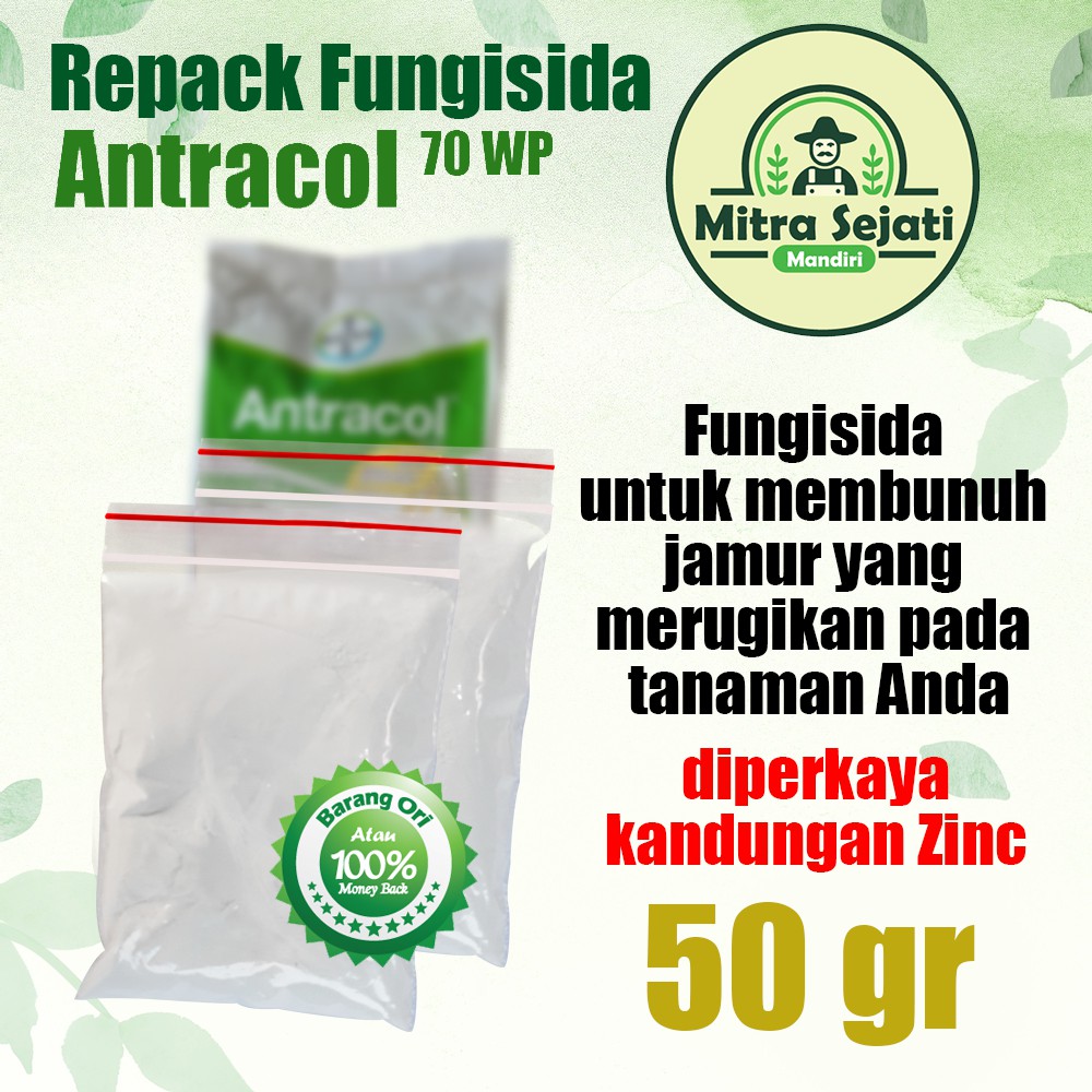 Jual Fungisida Antracol 50 Gram Repack Formulasi 70 WP Diperkaya Zinc