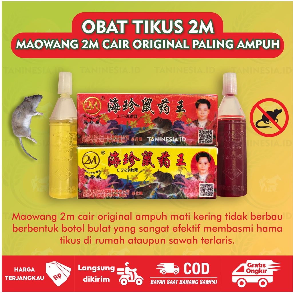 Jual Racun Tikus Cair 2m Ampuh Langsung Mati Kering Tidak Bau Basmi