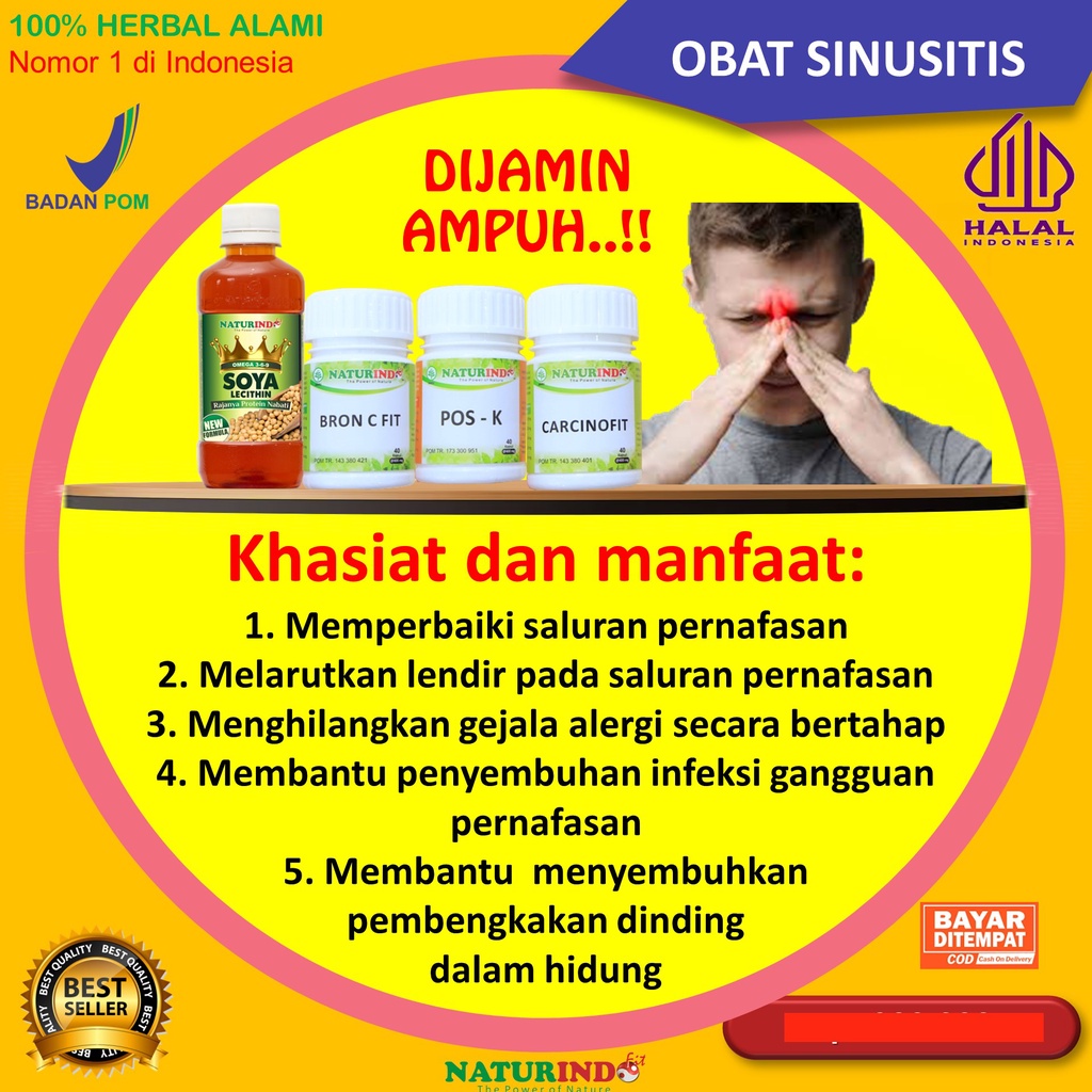 Jual Obat Sinusitis Sinus Kronis Rhinitis Alergi Hidung Mampet Meler