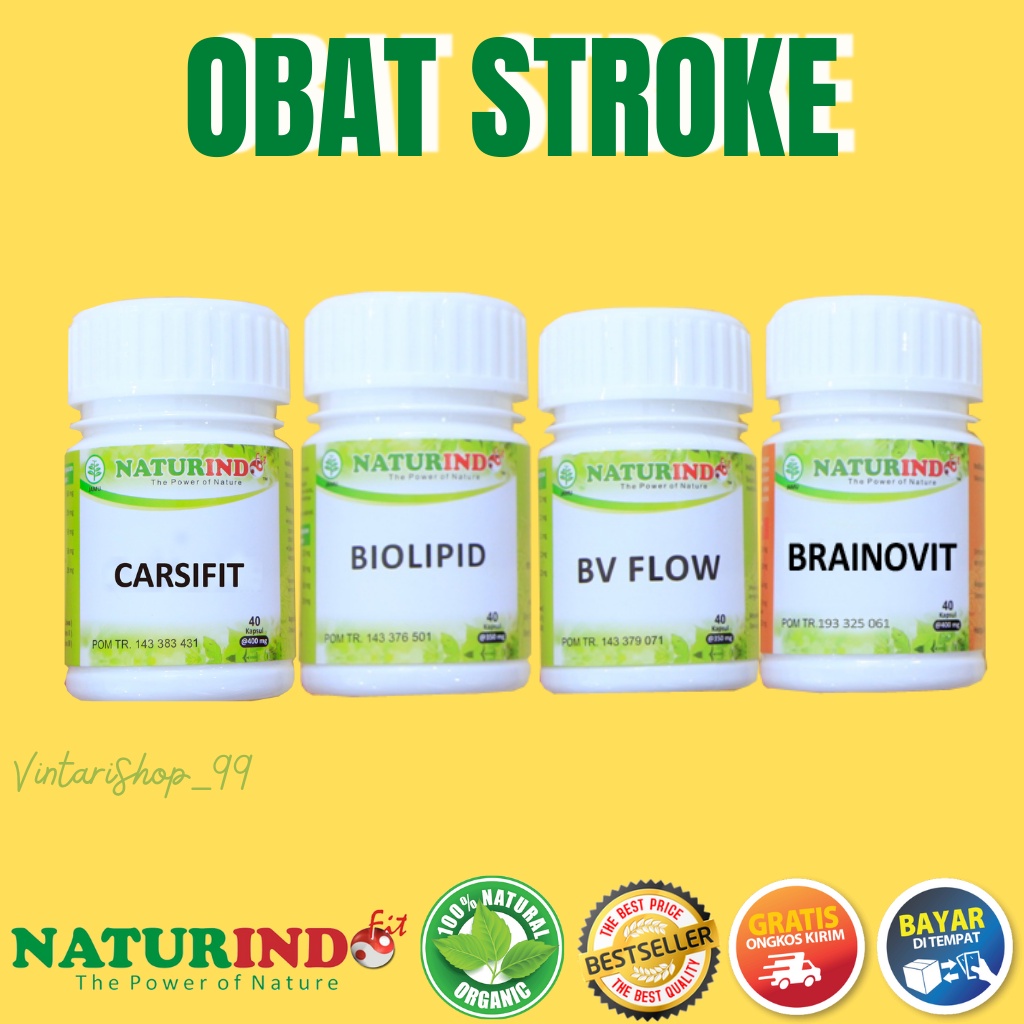 Jual Obat Gejala Stroke Ampuh Herbal Struk Ringan Paling Ampuh Bells