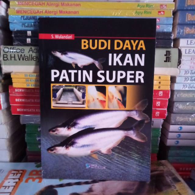 Jual Buku Original Budi Daya Ikan Patin Super Lihat Deskripsi Shopee