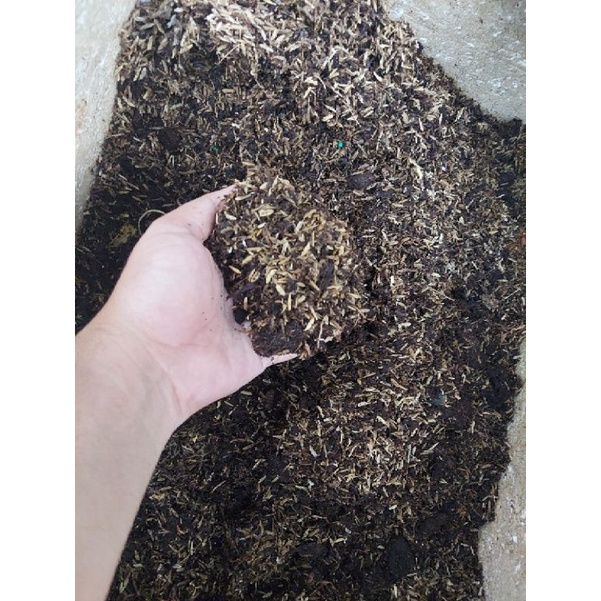 Jual Media Tanam Aglonema Media Tanam Siap Pakai Sekam Fermentasi 1Kg