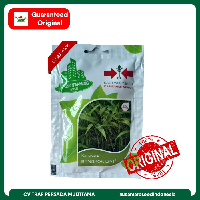 Jual Benih Kangkung Bangkok LP 1 Isi 500 Biji Original Packing Cap