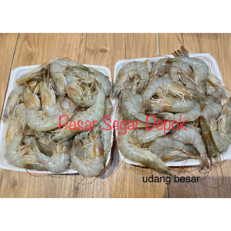 Jual Udang Segar Ukuran Besar Fresh 500gr 1kg Indonesia Shopee Indonesia