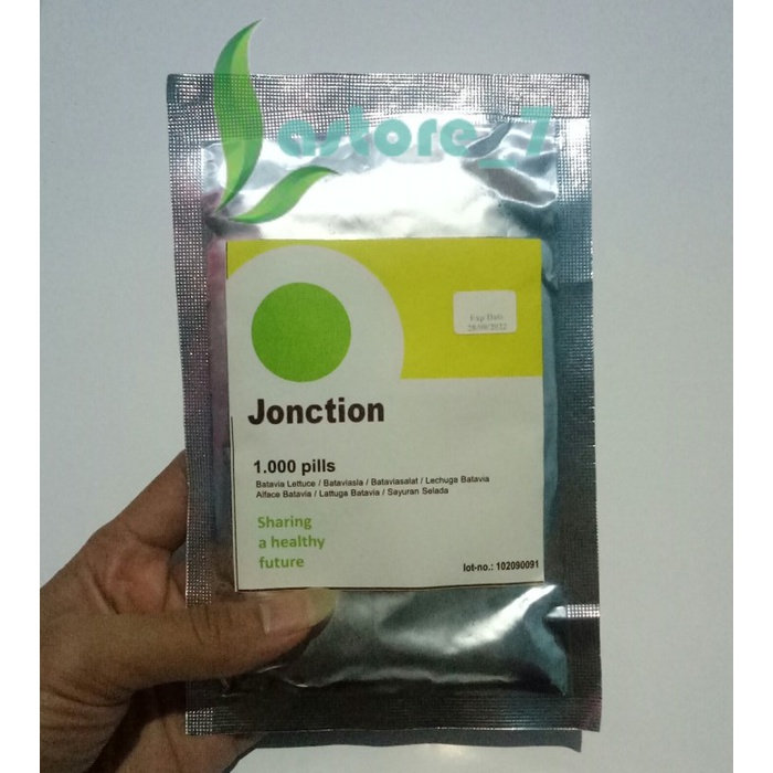 Jual Benih Selada Batavia Junction Rz Pills Exp Mei Shopee