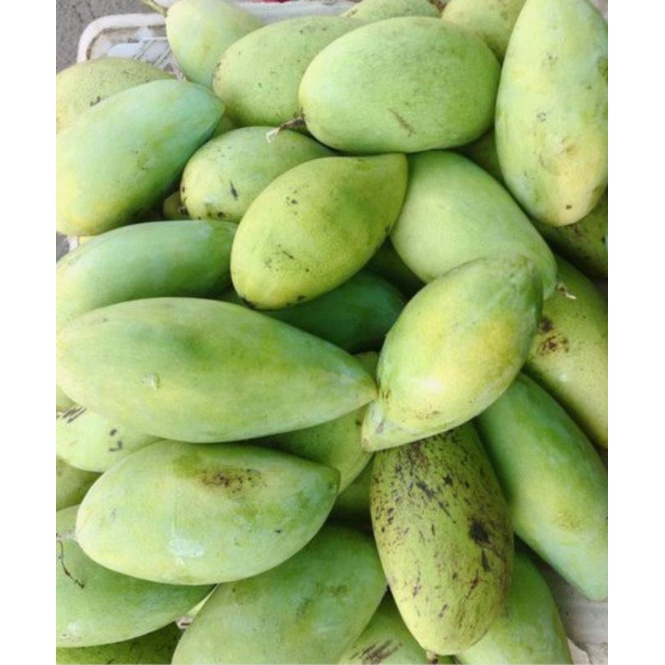 Jual Mangga Arumanis 1kg Shopee Indonesia