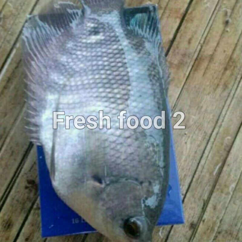 Jual Ikan Gurame Hidup Fresh Dan Segar Kemasan Kg Dan Kg Shopee