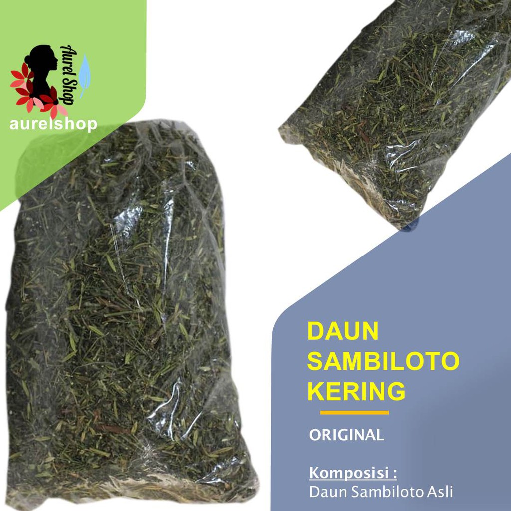 Jual Daun Sambiloto Kering Kg Sambiroto The Creat Leaf Shopee