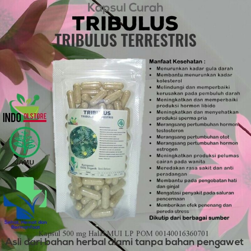 Jual Kapsul TRIBULUS 100 Kapsul Untuk Meningkatkan Hormon Testoteron