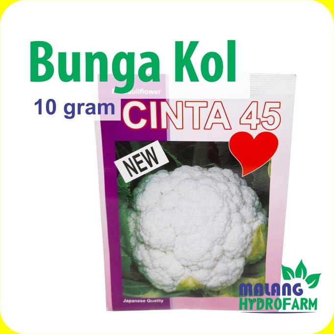 Jual Benih Bunga Kol Cinta 45 F1 10 Gram New Bibit Sayur Kembang Hijau