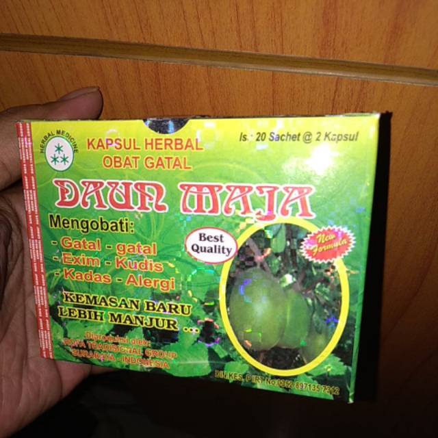 Jual Daun Maja Obat Gatal Eksim Alergi Dan Segala Penyakit Kulit