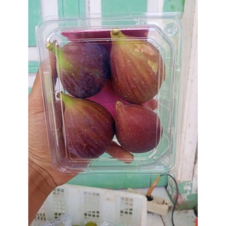 Jual Buah Tin Buah Surga 1kg Shopee Indonesia