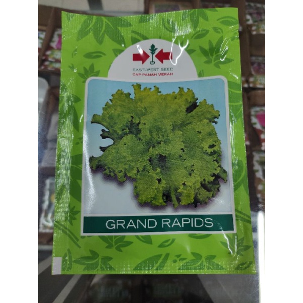 Jual Benih Selada Hijau Grand Rapids 15gr Cap Panah Merah Shopee