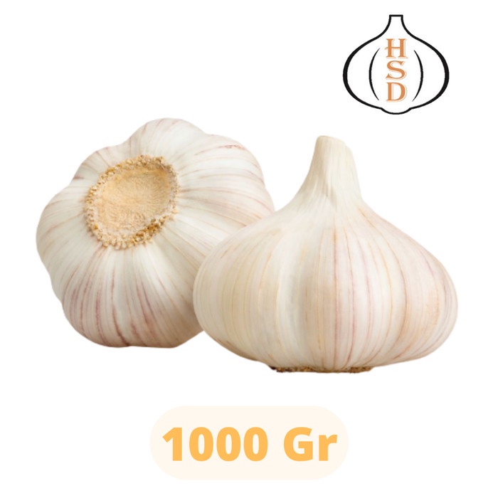 Jual HSD Bawang Putih Kating Garlic 1 Kg Shopee Indonesia