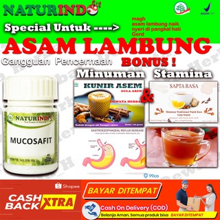 Jual Obat Herbal Sakit Asam Lambung Mag Maag Magh Gerd Kronis Perut