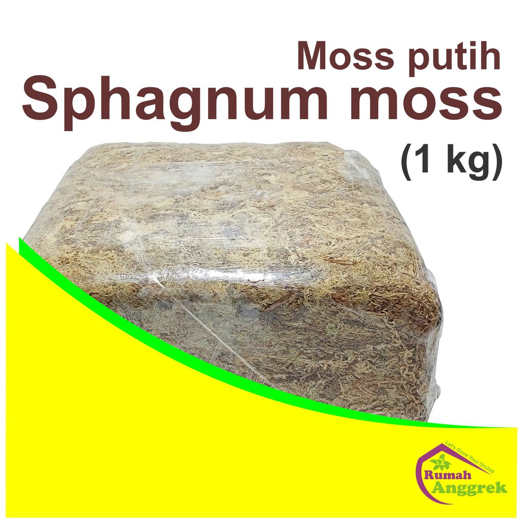 Jual Media Sphagnum Moss 1 Kg 1000 Gram Spagnum Spaghnum Putih Lumut