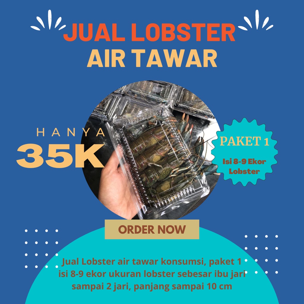 Jual LOBSTER AIR TAWAR KONSUMSI BANDUNG HANYA 35 RIBUAN Isi 8 9