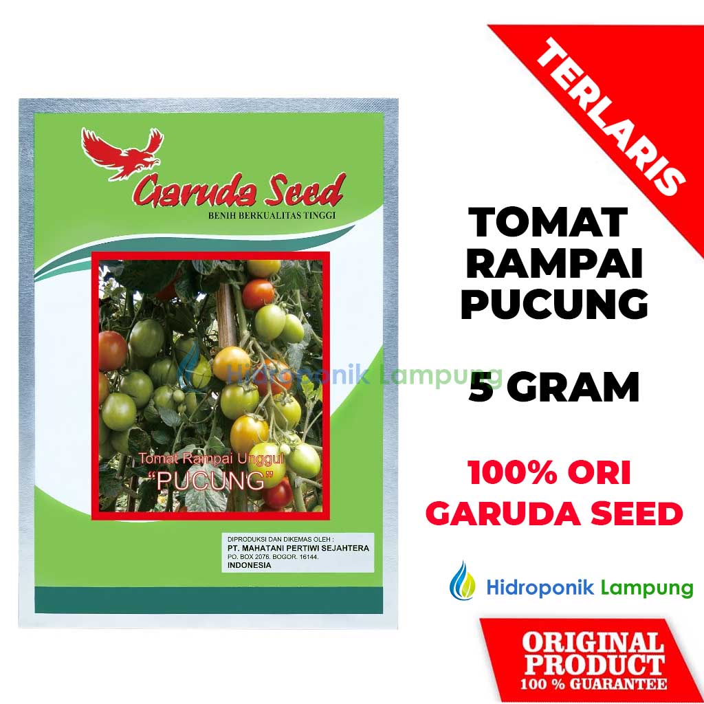 Jual Benih Bibit Tomat Rampai Pucung Cap Garuda Seed Gram Shopee