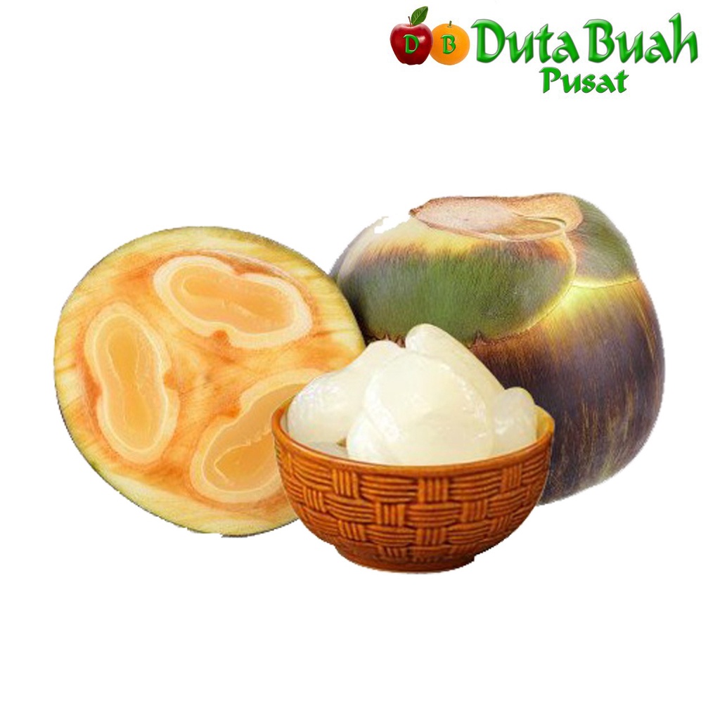 Jual Duta Buah Buah Lontar Shopee Indonesia