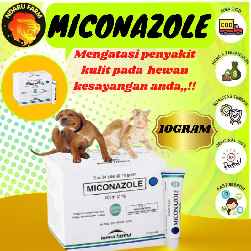 Jual Obat Salep Miconazole Nitrte G Jamur Luka Infeksi Kucing Anjing