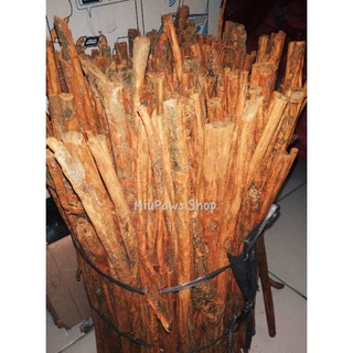 Jual Kayu Manis Batang Cinnamon Stick Gram Kg Shopee Indonesia