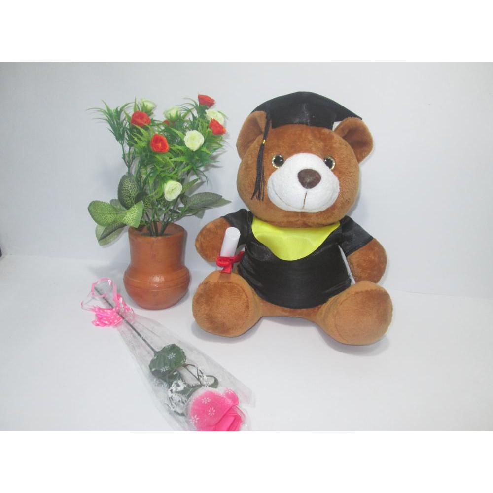 Jual Boneka Teddy Bear Wisuda Boneka Bear Sarjana Boneka Bear Toga