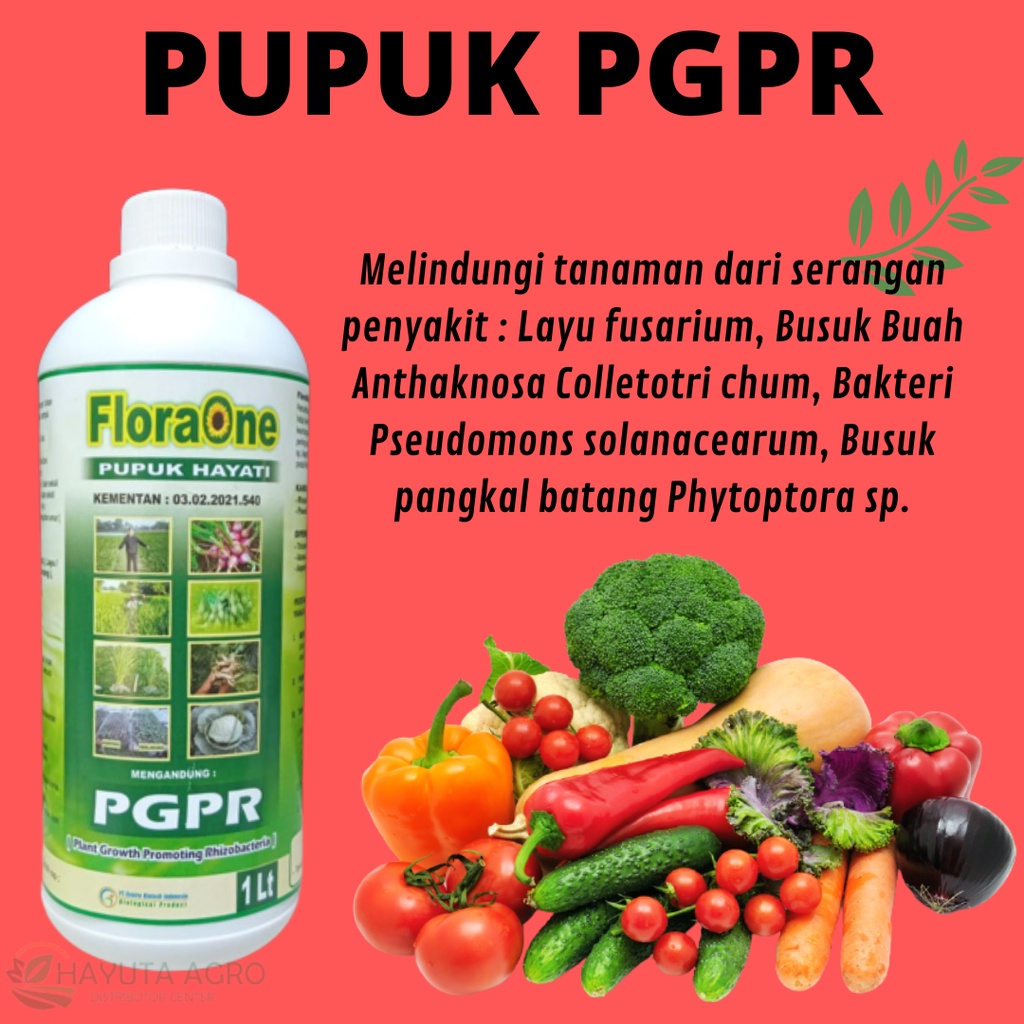 Jual Pupuk PGPR Cair 1 Liter Rhizobium Sp Cair Fungisida Hayati Cair