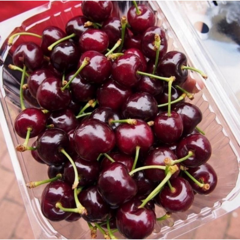 Jual Buah Cherry Tasmania California Pack Shopee Indonesia