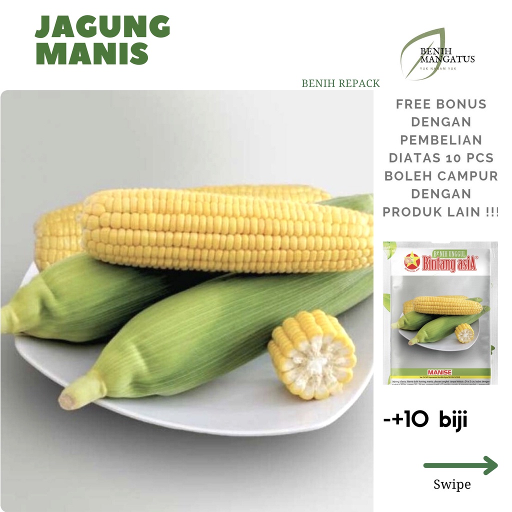 Jual D Benih Jagung Manis Biji Repack Shopee Indonesia