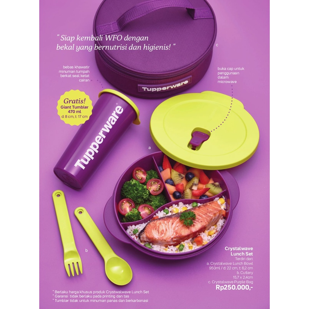 Jual Tupperware Crystal Wave Lunch Set Tempat Bekal Kotak Bekal