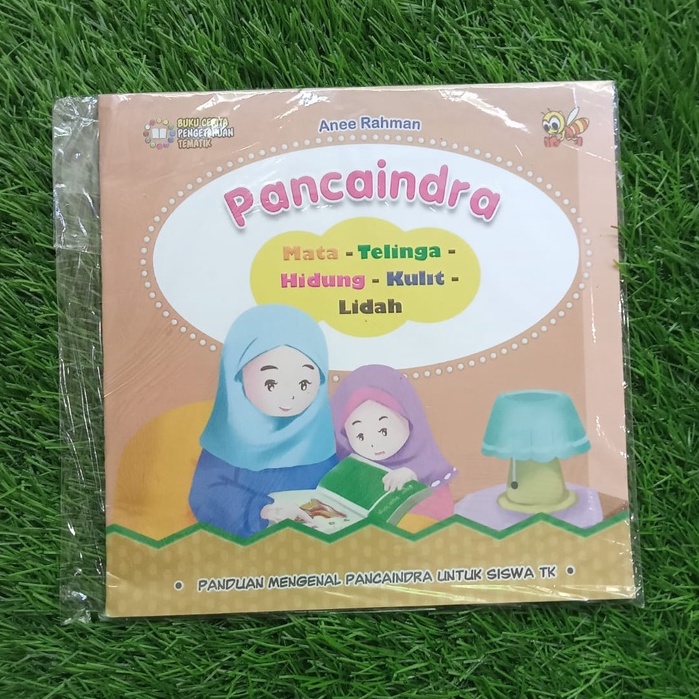 Jual Buku Cerita Pengetahuan Tematik Pancaindra Shopee Indonesia