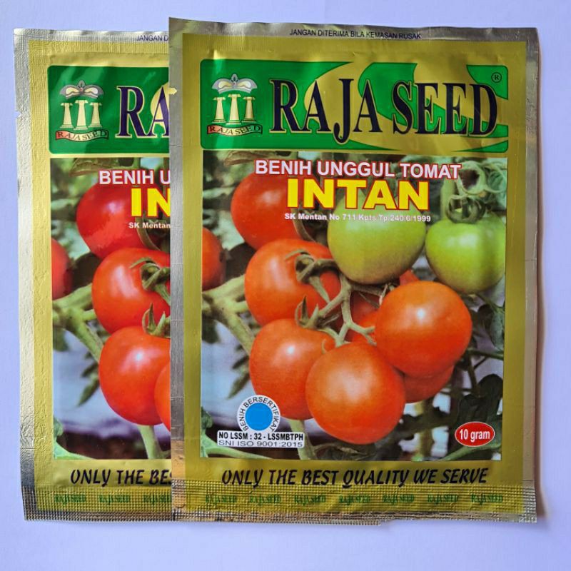 Jual Isi Gr Benih Tomat Intan Raja Seed Bibit Tomat Benih Buah