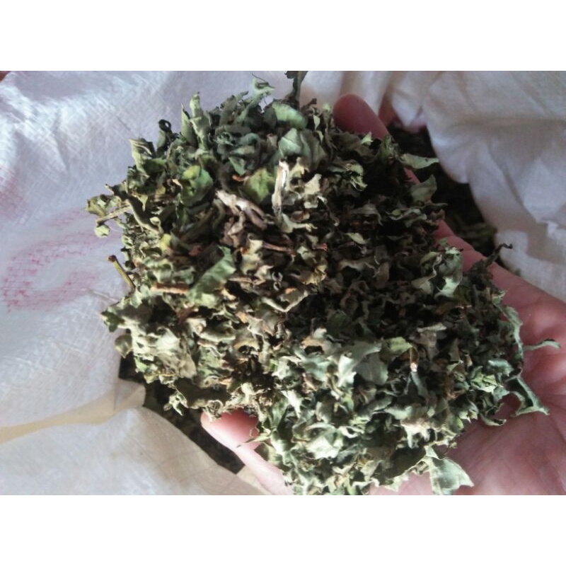 Jual Daun Insulin Kering Daun Paitan Kering Berat Gram Shopee