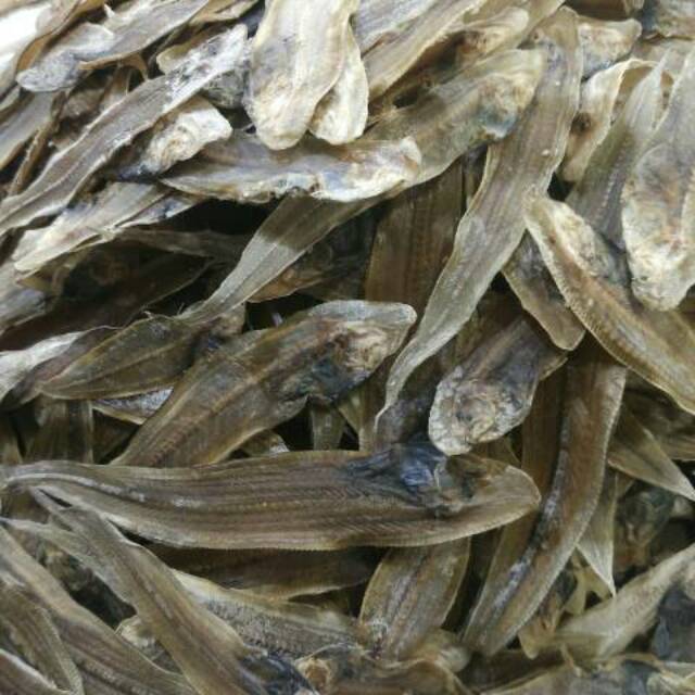 Jual Termurah Ikan Asin Lidah Medan Kg Shopee Indonesia