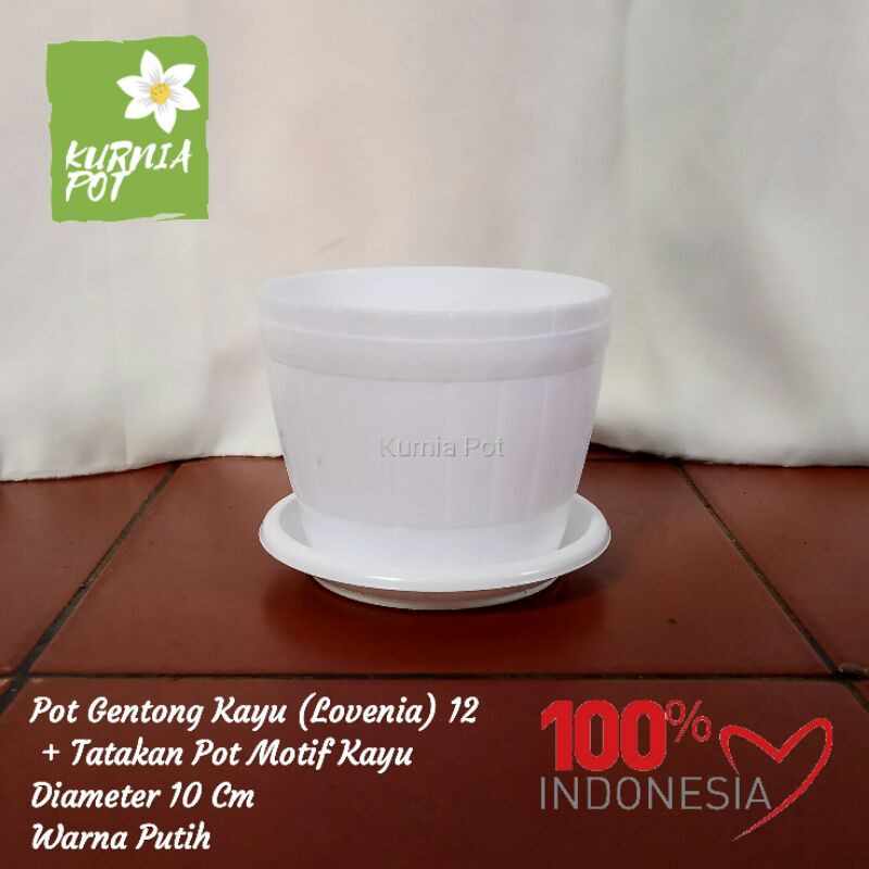 Jual Pot Bunga Tanaman Gentong Kayu Lovenia 12 Warna Putih Diameter 10