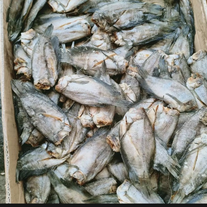 Jual Ikan Sepat Asin Gr Shopee Indonesia