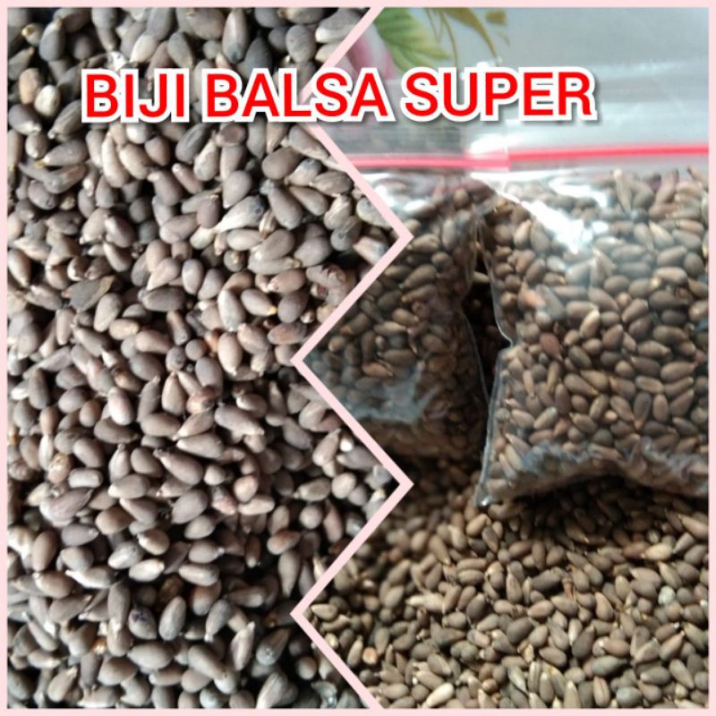 Jual BENIH KAYU BALSA SUPER 10g 25g Shopee Indonesia