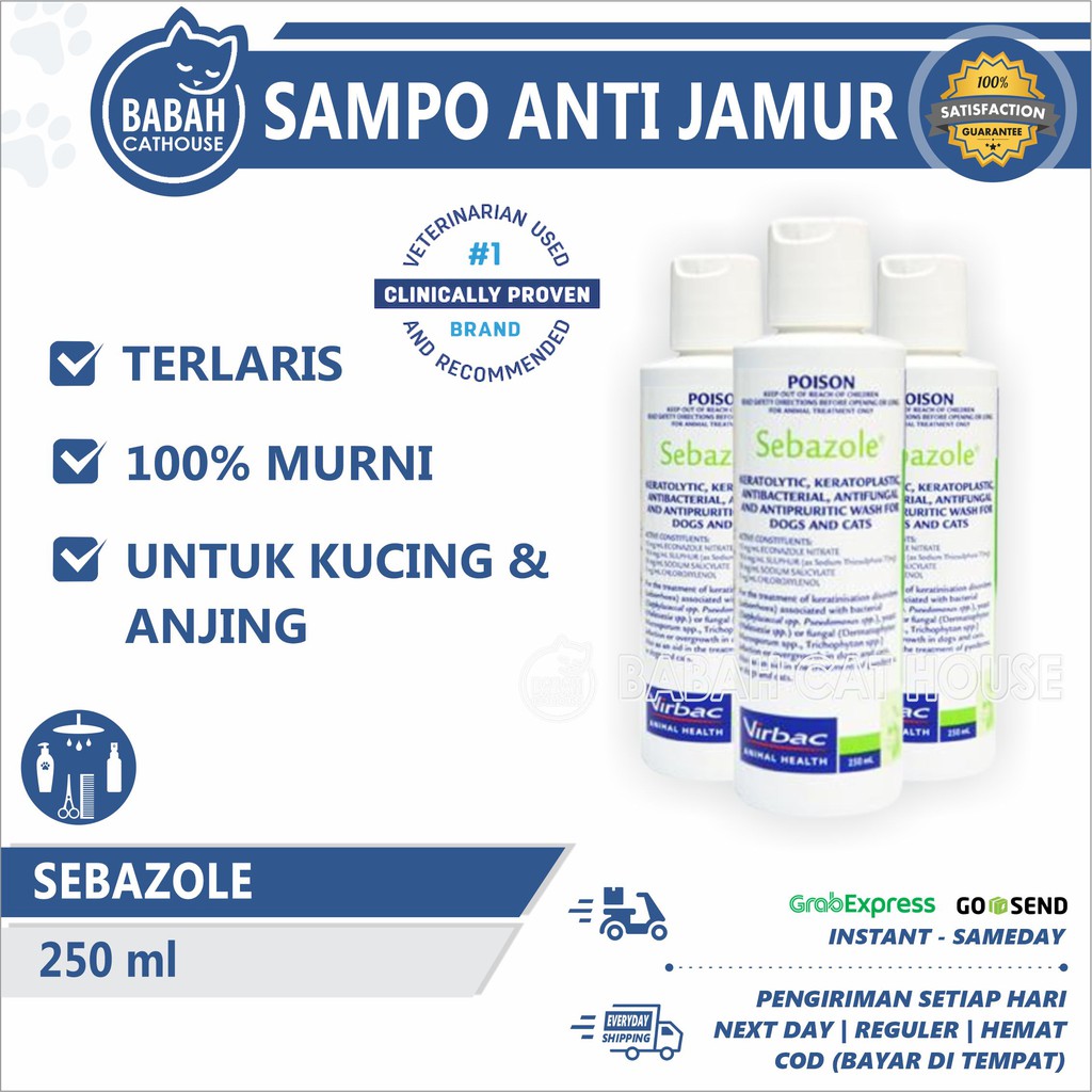 Jual Sebazole Botol Ml Shampo Kucing Anti Jamur Sampo Virbac Shampoo