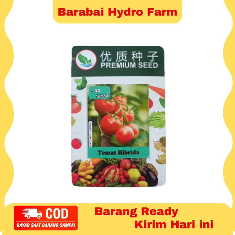 Jual Benih Biji Tomat Hibrida Unggul Premium Seed Shopee Indonesia