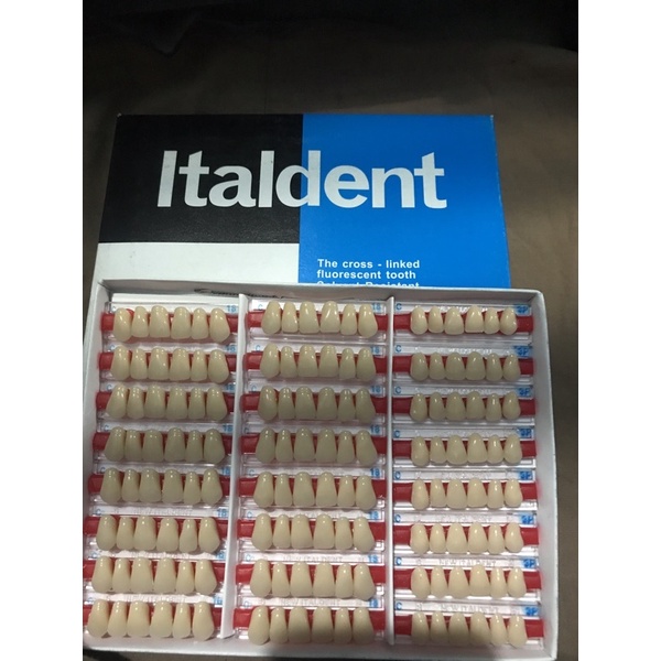 Jual Gigi Palsu Gigi Tiruan Rahang Atas Italdent Anterior Upper