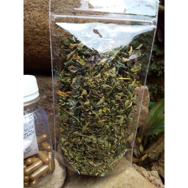 Jual Teh Daun Kelor Shopee Indonesia