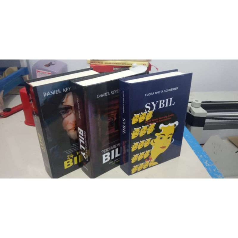 Jual Paket Buku 24 Wajah Billy PertarunganJiwa Billy Sybil Shopee