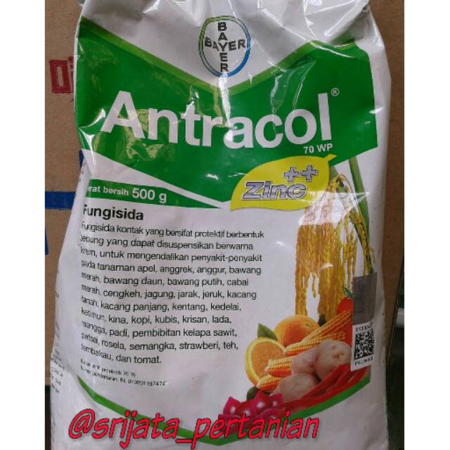 Jual FUNGISIDA Obat Jamur ANTRACOL 70 WP 250 Gr 500 Gr 1000 Gr