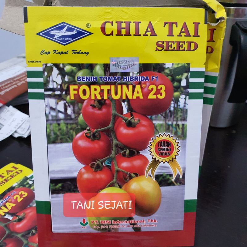 Jual Benih Tomat Fortuna Kemasan Gram Original Pabrik