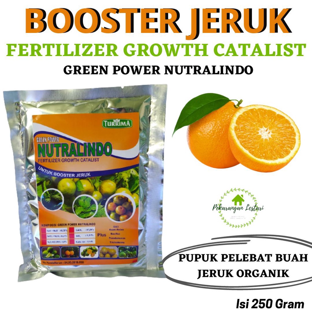 Jual Pupuk Booster Jeruk Cepat Besar Pemicu Buah Jeruk Agar Berbuah