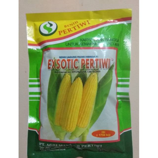 Jual Benih Jagung Manis Hibrida F Exsotic Pertiwi Gr Shopee