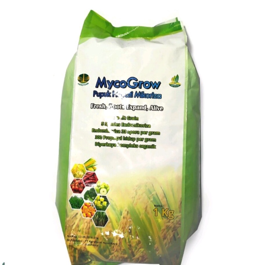 Jual MIKORIZA MycoGrow Pupuk Hayati Mikoriza Repack 250gr Indonesia